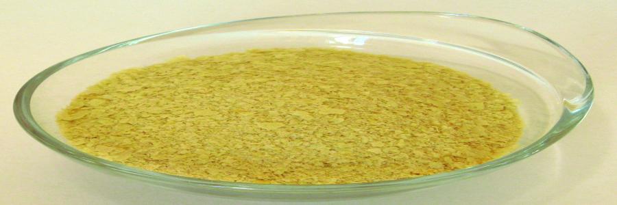 Food Cultures Food Cultures