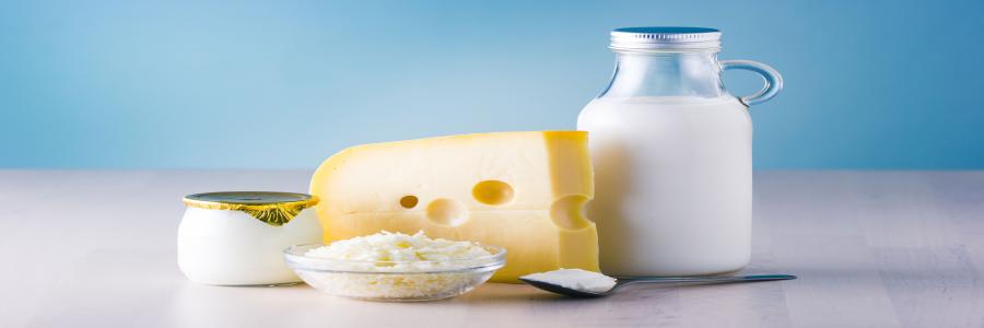 Dairy Products Dairy Products